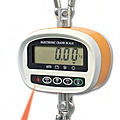 digital crane scale - 50 - 300 kg | DTEP series