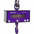 digital crane scale - Intercomp CS™ 750