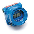 digital temperature indicator - TI196