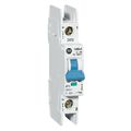 DIN rail circuit breaker - 0.5 - 40 A, 240 V | 1489