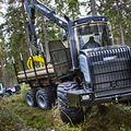 forestry forwarder - 12 000 kg | 5F GT