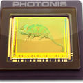 full color image sensor / CMOS / low light - Uncooled | KAMELEON