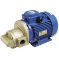 geared pump / for viscous fluids - 2.5 m³/h | JEV71