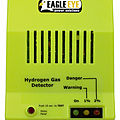 H2 detector / hydrogen - HGD-2000