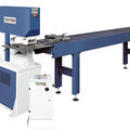 hydraulic punching machine / CNC - 800 - 1 100 kN | PL X series