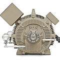 medium-voltage AC induction motor - 250 - 700 hp, 460 - 575 V | Quantum™ LMV