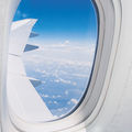 polyurethane adhesive - Uralane®