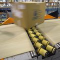 roll sorter - max. 5 000 p/h | TRUXORTER