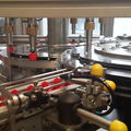 protection for crimping machines capping machine - CMM50 Series