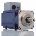 rotational servo-cylinder - max. 10 000 Nm | SPM+