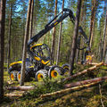 rubber-tired forestry harvester - max. 20 800 - 21 500 kg, 210 kW | Scorpion