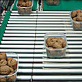 optical sorting machine / for glass recycling - OSX-1000