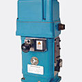 speed regulator - 1115-4G