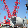 tracked crane - LR 1750, LR11350