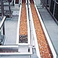 vibrating conveyor - ER, ERF series