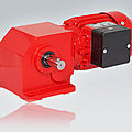 worm electric gearmotor / electric spur - 60 - 750 W, IP 54 | ODG 45/58