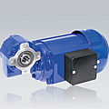 worm electric gearmotor / hollow-shaft - 50 - 250 W, 10:1 - 56:1 | SD 12/13/14