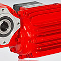 worm electric gearmotor / hollow-shaft - 60 - 550 W, IP 54 | ODG 12/13/14