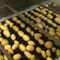 Brush Food Washing Machine Alutec Food CAMPESATO Potato For