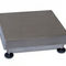 Platform Scale Ain Series Laumas Elettronica With Separate