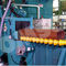 shot blasting machine for gas cylinder RBC OMSG - OFFICINE MECCANICHE SAN GIORGIO SpA