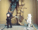 abrasive blasting medium