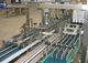 robotic case packer