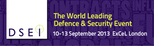 DSEI