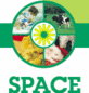 Space 2013