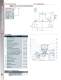 Marsh Bellofram BelGAS Division P912 Pressure Regulator - Marsh Bellofram