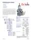 Marsh Bellofram BelGAS Division Type P119 Control Valve - Marsh Bellofram