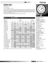Marsh Bellofram - Marsh Division - Diaphragm Gauges