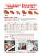 General Catalog - Vibration Products - VIBCO