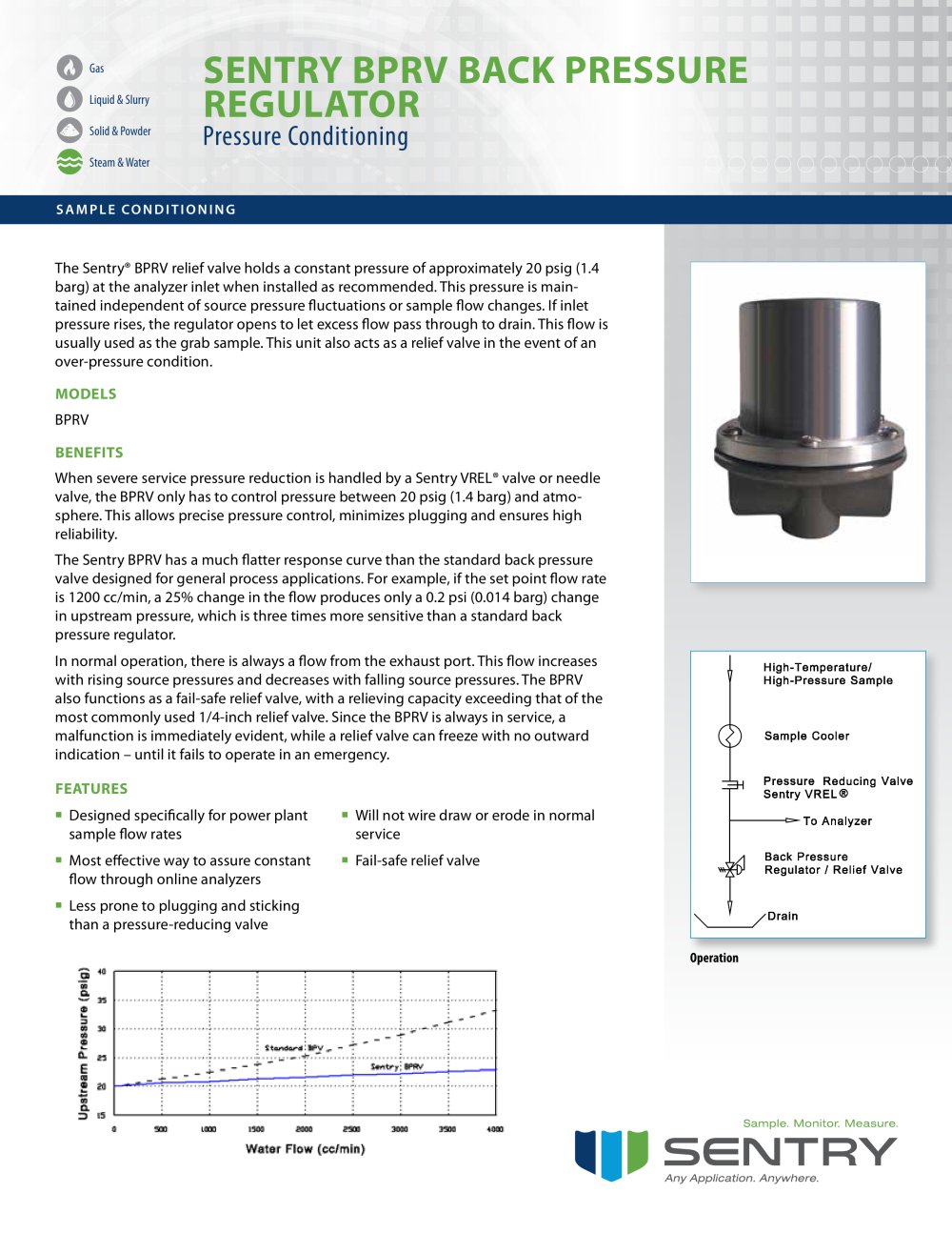 Back Pressure Regulator/Relief Valve - Sentry Equipment