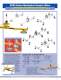 Mechanical Vacuum Lifters - ANVER Vacuum System Specialists