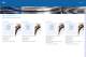 High Precision Ball Bearings - GMN