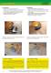 ELECTRIC VIBRATORS FOR INDUSTRY - SOMAI