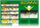 SOMAI - Internal electric vibrators - SOMAI