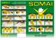 SOMAI - Industrial vibrators - SOMAI