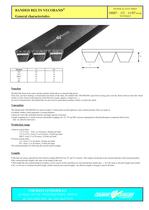 Banded Belts VECOBAND