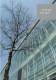 Building automation - Woertz