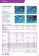 Connector Solutions for Automotive Applications Catalog - FCI