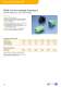 Connector Solutions for Automotive Applications Catalog - FCI