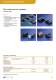 Connector Solutions for Automotive Applications Catalog - FCI