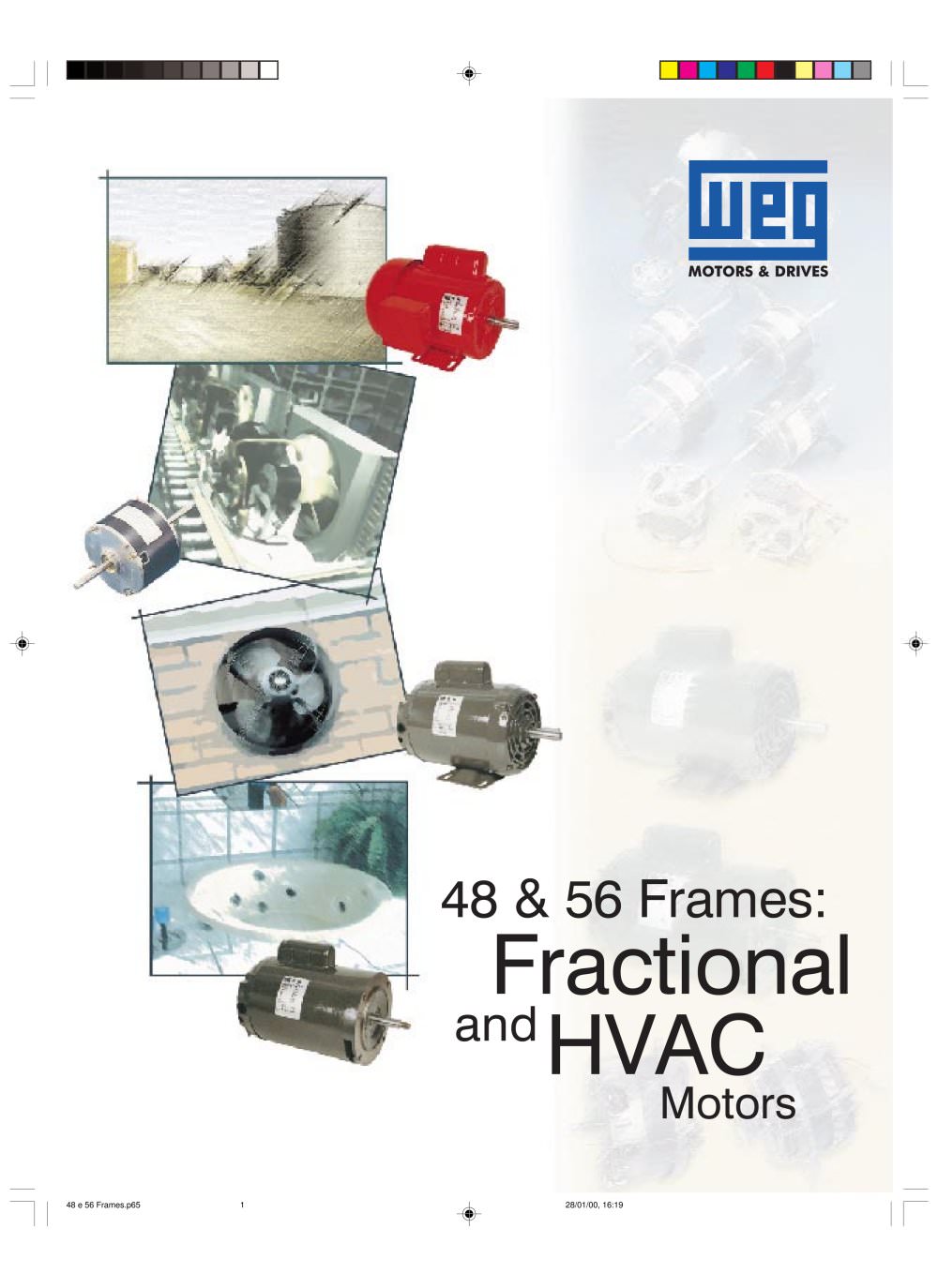 Appliance Motors - WEG