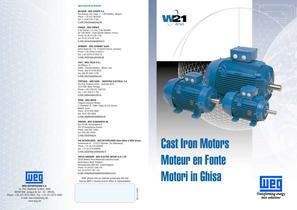 Asynchronous motor 
