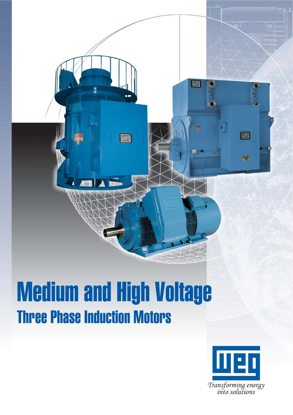 Cast Iron MV Motor - WEG