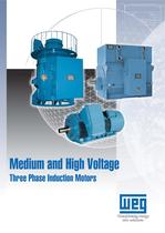 High Voltage Motor