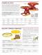 PalletPal: Level loaders, turntables, rotators - SOUTHWORTH