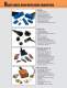 Cablized Connector Brochure - Positronic Industries